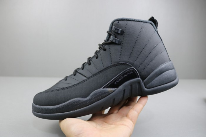Air Jordan 12 Winterized Black Anthracite BQ6851-001