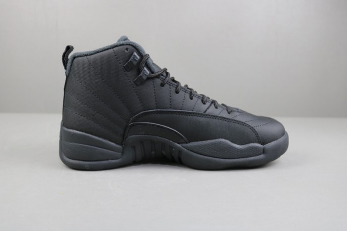 Air Jordan 12 Winterized Black Anthracite BQ6851-001