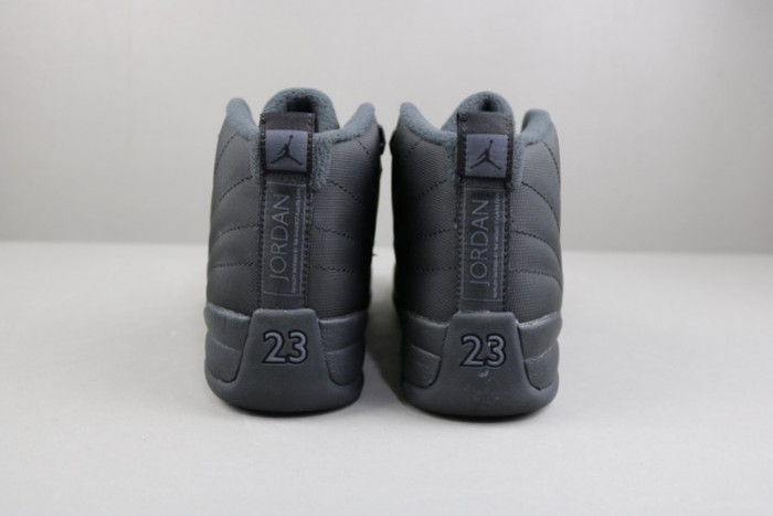 Air Jordan 12 Winterized Black Anthracite BQ6851-001